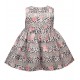 Baby Girls Ivory and Coral Rose Fit-and-Flare Party Dress Baby Girls Ivory and Coral Rose Fit-and-Flare Party Dress
