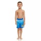 Baby Shark Rashguard and Swim Trunk Set