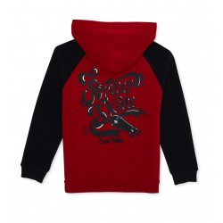 Tony Hawk Boys Long Sleeve Graphic Hoodie -  Sizes 8-16 Tony Hawk Boys Long Sleeve Graphic Hoodie -  Sizes 8-16