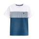 NEXT Boys Color Block Cotton T-Shirt – Soft Casual Everyday Tee