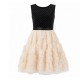 Girls Sleeveless Velvet Party Dress – Glitter Mesh Skirt & Chiffon Rosettes