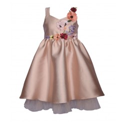 Special Occasion Girl Dress - Flowers & Mesh Dress