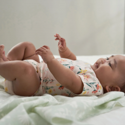 Baby Girls 3-Pack  Wildflower Bodysuits Baby Girls 3-Pack  Wildflower Bodysuits