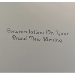 New Baby - Children are Gifts 