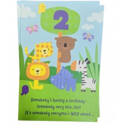 Boy or Girl  Birthday - Somebody Very Nice at 2 Years 