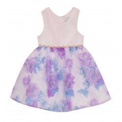 Rare Editions Toddler Girls Sleeveless Floral Dress