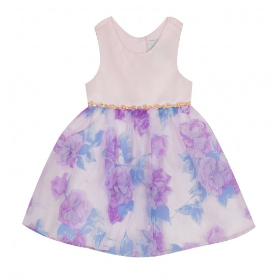 Rare Editions Toddler Girls Sleeveless Floral Dress