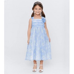 Bonnie Jean Bridget Floral Mesh Dress (Girls 2T - 6X) 