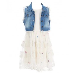Rare Editions Girls 4-6x Mesh Dress with Floral Embroidery and Vest